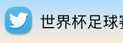 世界杯足球赛官网 logo